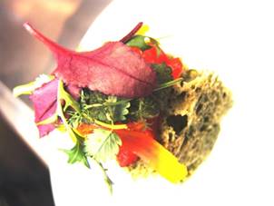 DSC08805.JPG